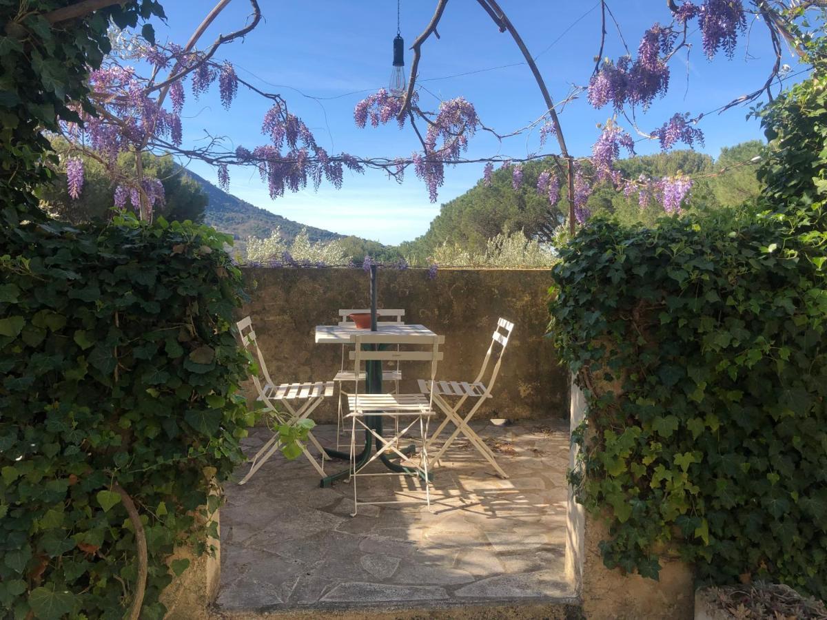 La Picholine En Provence Hotel นียงส์ ภายนอก รูปภาพ